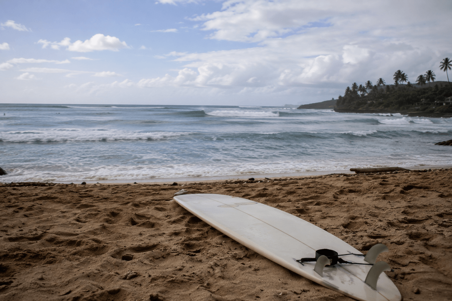 Nobody Taught Me How to Surf