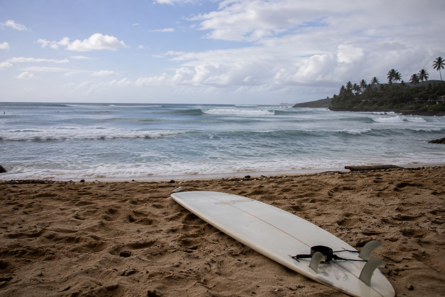 Nobody Taught Me How to Surf