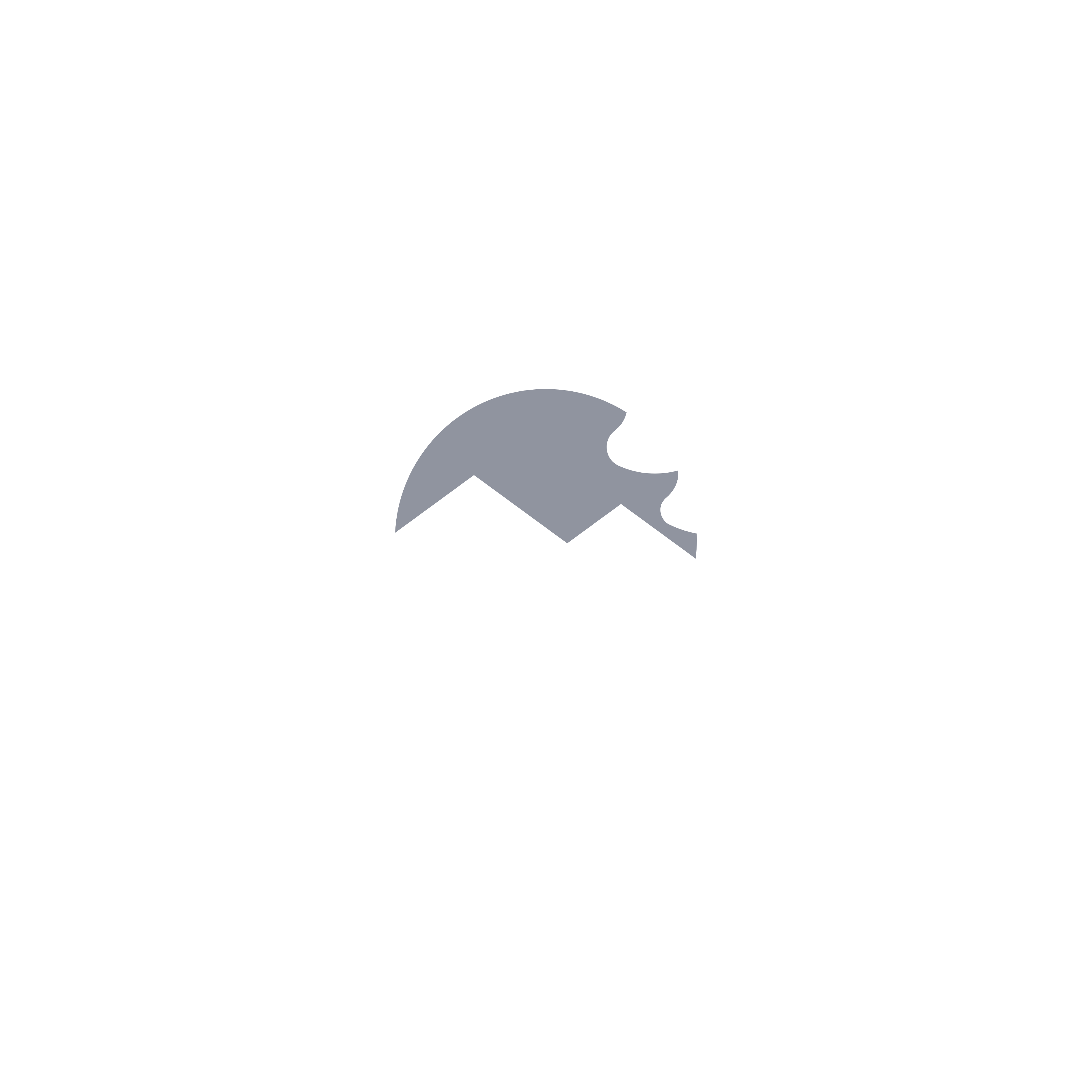 Sole Surf Company